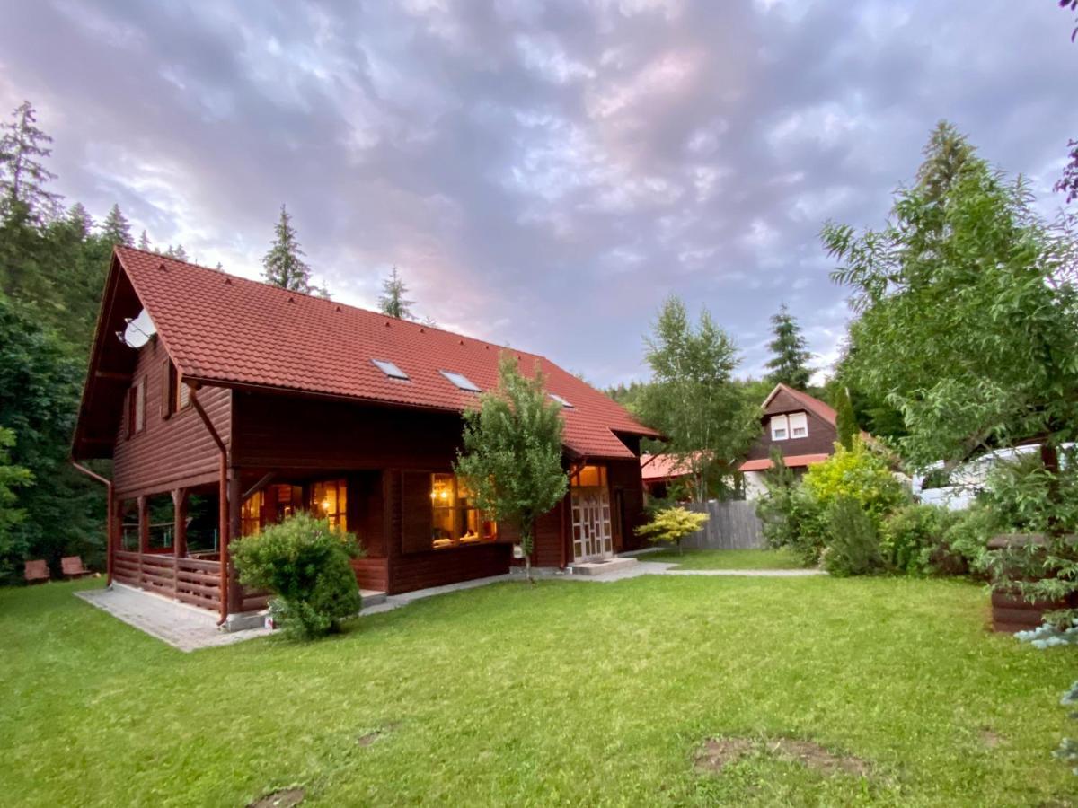 Platan Vendeghaz Villa Izvoare  Buitenkant foto