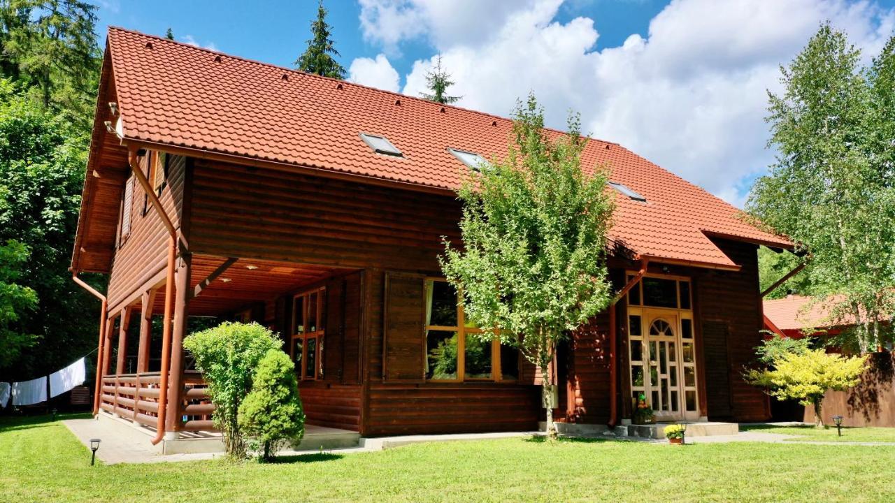 Platan Vendeghaz Villa Izvoare  Buitenkant foto