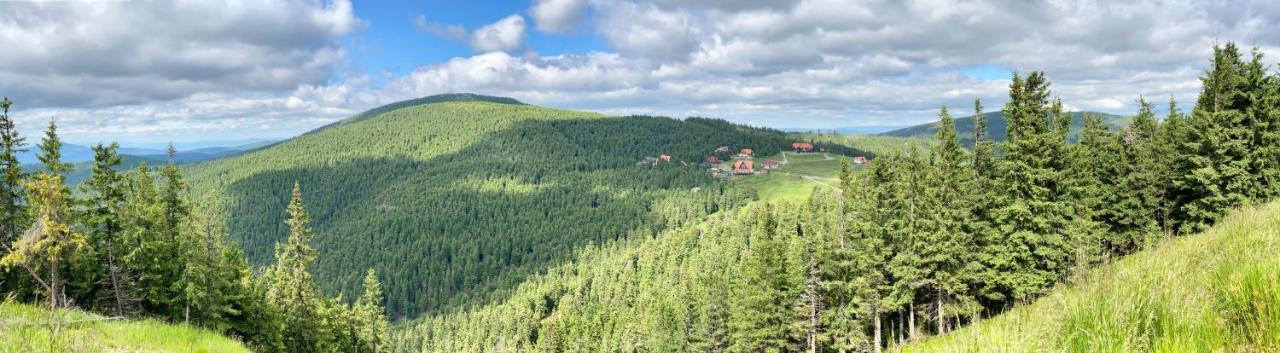 Platan Vendeghaz Villa Izvoare  Buitenkant foto