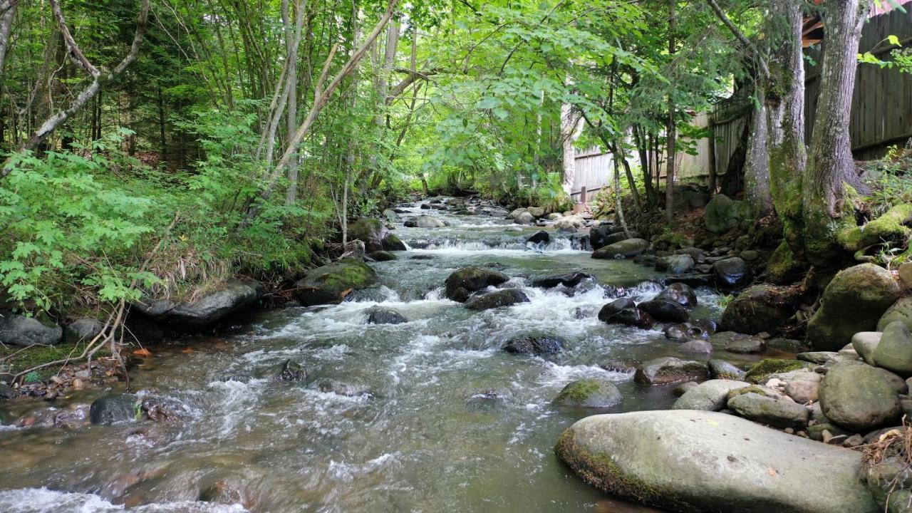 Platan Vendeghaz Villa Izvoare  Buitenkant foto